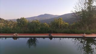 Podere di Maggio - Casa della Nonna - Santa Fiora - 6