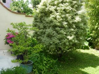 Gite aux Minimes - Au jardin des alouettes - Toulouse - 2