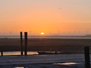 Seevilla Wietjes Whg 1 - Baltrum - 8