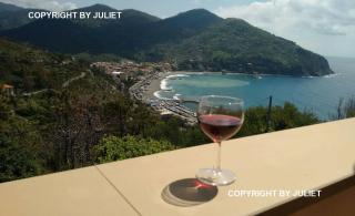 Juliet - apartment in Liguria 5 Terre UNESCO site - Levanto - 0