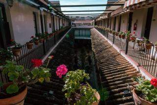 Apartamento con encanto en patio sevillano (202) - Séville - 5