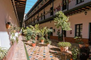 Apartamento con encanto en patio sevillano (202) - Sevilla - 4