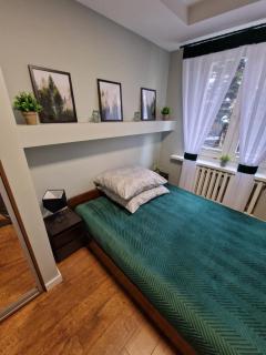 APARTAMENT SĄDECKA OSTOJA - Nowy Sącz - 2