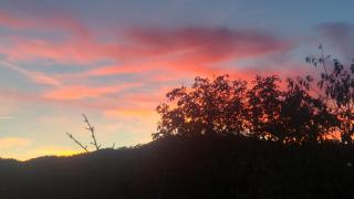 Podere di Maggio - Glamping tent 3 - Santa Fiora - 9