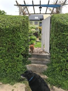 Apartament " POD NIEBIESKIM PAGAJEM " - 8