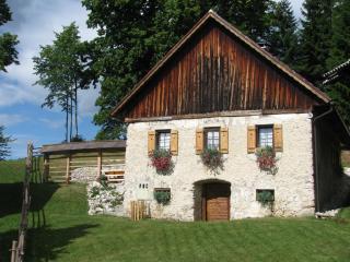 SLO-ETNO HOUSE GOSTECE-Vintage Apartma - 9