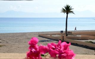SEASIDE HOUSES - Alcudia - 0