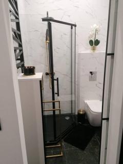 Apartament Czarny z Jacuzzi - Bydgoszcz - 1