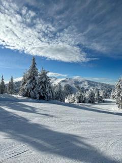 Woodside Residences & SPA - Kopaonik - 3