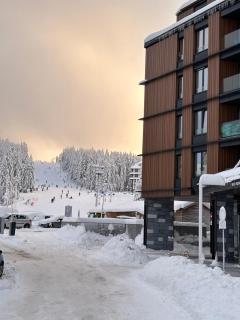 Woodside Residences & SPA - Kopaonik - 4