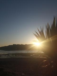 Peumayen - Quellón - 1