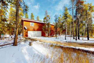 Lucky Bear's Lair - Fairplay - 7