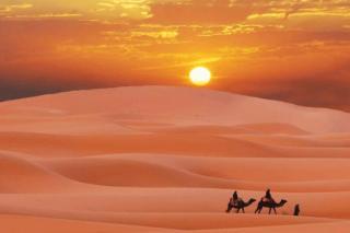 Camp Golden Desert Morocco - 3