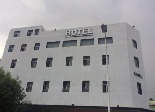Hotel Vigo - Guadalajara - 6