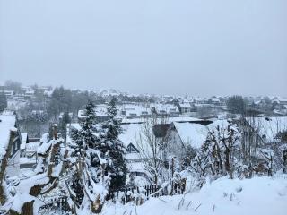 Moderne Wohnung in Winterberg nahe Skigebiet - 6