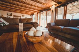 Oudebosch Guest Farm - Riversdale - 3