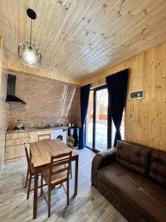 Cottage Orcs - 1
