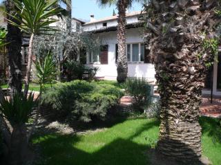 Oasi Holiday Home - Toscolano-Maderno - 9