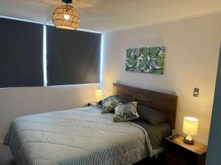 Depto nuevo cerca del Teatro Caupolicán y Movistar Arena - 1