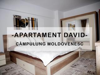 Apartament David - Câmpulung Moldovenesc - 0