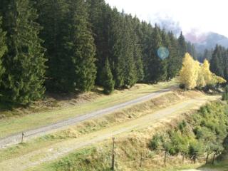 Studio cosy au pied des pistes avec balcon, 3 couchages - FR-1-557-58 - Les Adrets - 5