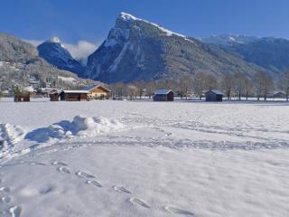 Grand studio avec balcon, animaux admis et parking à Samoëns - FR-1-629-34 - Samoëns - 4