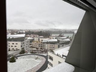 Le nid du lac d'Annecy - Annecy - 6