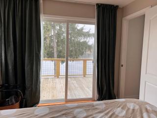 Casa Madre Chic Lakefront Cottage near Ann Arbor - Whitmore Lake - 2