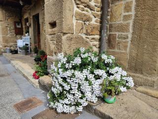 Casa Laudina y Armando - 9