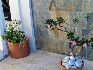 Appartements de Luxe . Propriété de Luxe - Baie-Mahault - 3