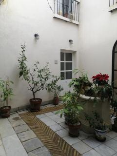 Habitación Hinojo - Sanlúcar de Barrameda - 5