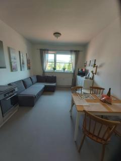 Apartmán Tony Slapy - 1