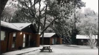 Beech Lodge 4 Hot Tub - York - 8
