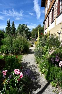 Landgasthof Rössle - Beim Kräuterwirt - Oberstaufen - 1