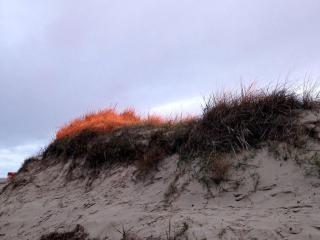 Haus-Hauke-Haien-Whg-07 - Sankt Peter-Ording - 2