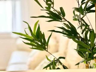 Apartamento centro en Málaga con PARKING GRATIS - 4