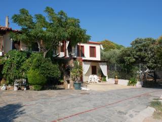 Casa di Grigoris - Nikiti - 5