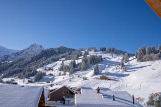 Chuenislodge3 neu&stilvoll, 2Balkone, echtes Bijou mit top-Aussicht - Adelboden - 2