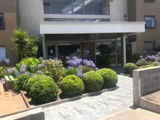 Hermoso DEPTO en Viña del Mar - Viña del Mar - 0