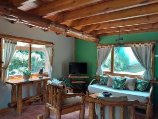 Tierras del Sur II - Villa La Angostura - 2