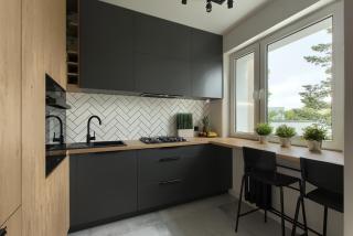Luksusowy loft nad jeziorem Swarzędz - Poznań TV wi-fi pralko-suszarka piekarnik - Swarzędz - 1