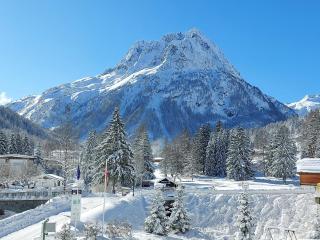 Exceptionnel 3 pièces duplex en résidence 5* - Vallorcine - 9