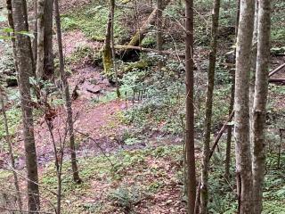 Good Life Cabin 2 - Bryson City - 4