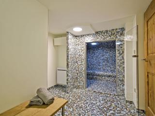 Chalet authentique avec sauna et hammam à Saint-Martin-de-Belleville - FR-1-613B-10 - 4