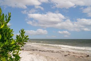 Updated Gulf Front Condo on the South End of Fort Myers Beach! condo - Fort Myers Beach - 2