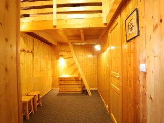 Appartement 4 pièces, 8 couchages à 300m des pistes - Auris en Oisans - FR-1-297-46 - Auris - 3