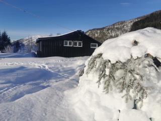 Tangen - cabin with 4 bedrooms - great nature - Norheimsund - 2