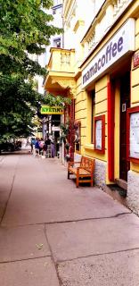 Cozy studio in Vinohrady - Prague - 6