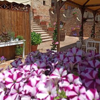 Albergo Diffuso Borgo Montemaggiore - Montemaggiore al Metauro - 4
