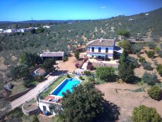 Huerta Carrión, Finca en El Pedroso - El Pedroso - 9